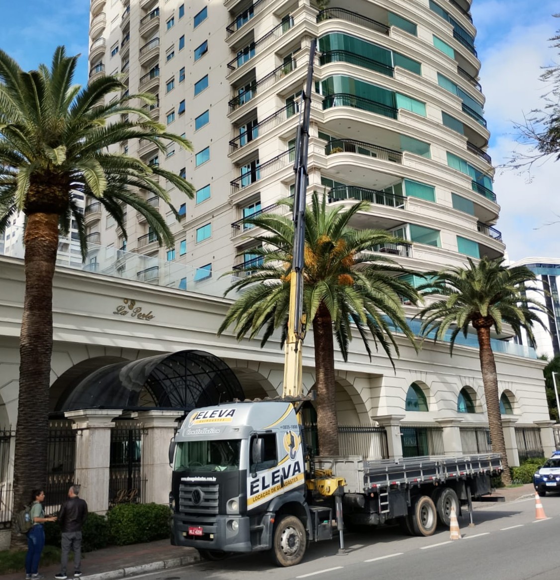 , PODA DE ÁRVORES E PALMEIRAS EM ALTURA COM TOTAL SEGURANÇA! 🌴🏗️